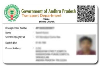 Andhra Pradesh Drving License