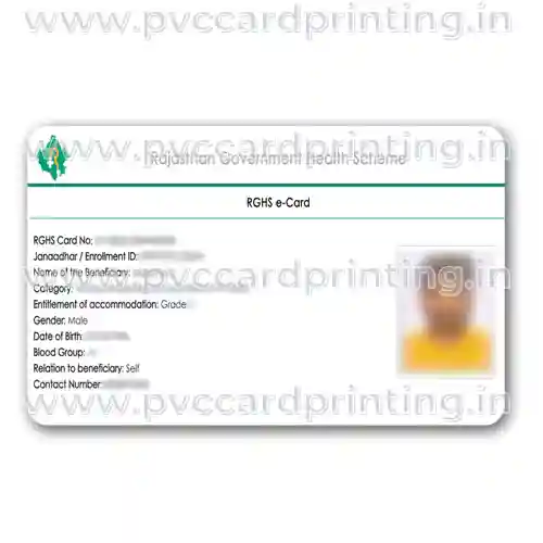 rghs e card pvc card printing service