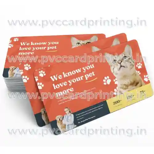 cat club id cards personalized pvc cards for feline members