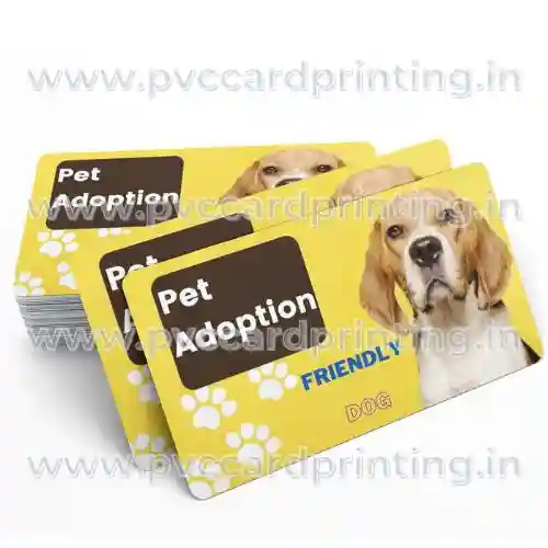 pet adoption id cards ensure safety and happiness for your furry friends