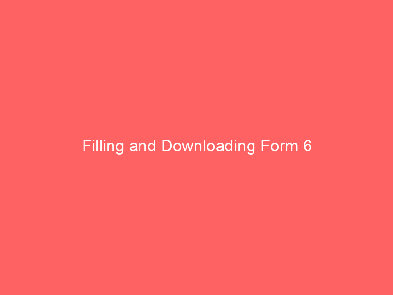 Filling and Downloading Form 6