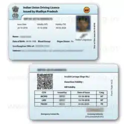 madhya pradesh driving licence pvc card