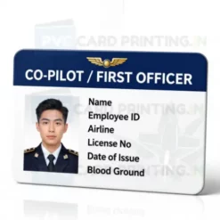 co pilot card