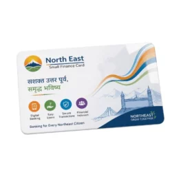 north east small finance card