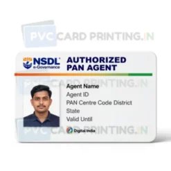 nsdl agent card