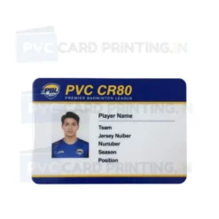 pbl player card