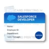 salesforce developer card