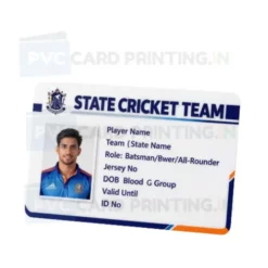 state cricket team card