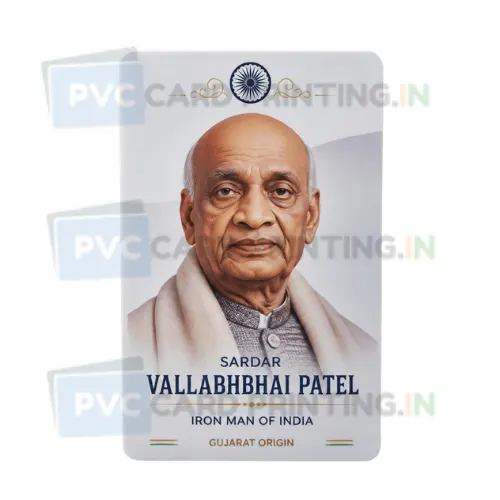 sardar vallabhbhai patel gujarat origin