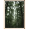 a4 forest trees wall art printed — forest wall art poster single sheet