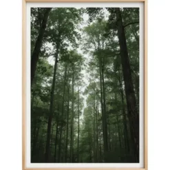 a4 forest trees wall art printed — forest wall art poster single sheet