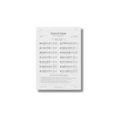 a4 guitar chord sheet a4 printed — single sheet guitar print