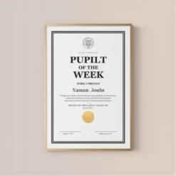 a4 pupil of the week certificate printed — single sheet pupil print