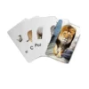 animal flash cards pvc 20 set (1)
