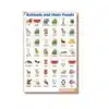 animal food chart a4 ntr kids