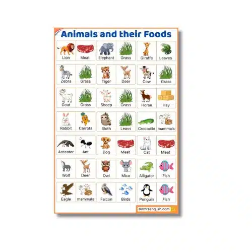 animal food chart a4 ntr kids
