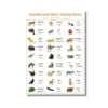 animal young ones a4 ntr chart (1)