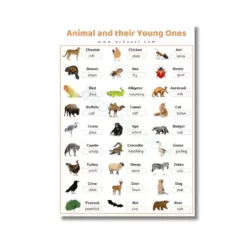 animal young ones a4 ntr chart (1)