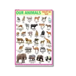 animals mega pack 5 charts a4 ntr