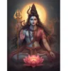 ardhanarishvara duality a4 ntr matte