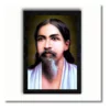 aurobindo sri photo a4 ntr print