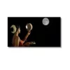 karva chauth moon fast a4 ntr