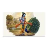 krishna peacock dance a4 ntr print