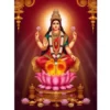 laxmi paduka golden feet a4 ntr