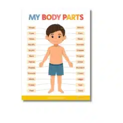 my body parts a4 ntr chart kids