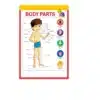 my body parts chart a4 ntr kids