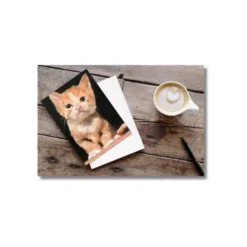 my favourite animal pvc card