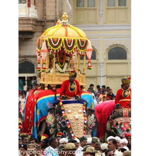 mysore dasara procession a4 ntr