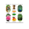 national animals symbols a4 ntr