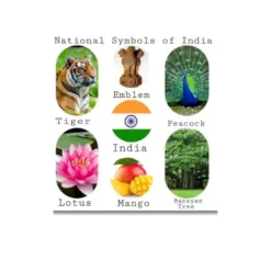 national animals symbols a4 ntr