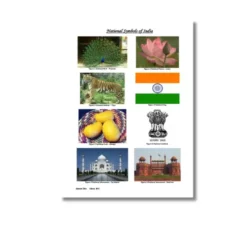national symbols india a4 ntr kg1