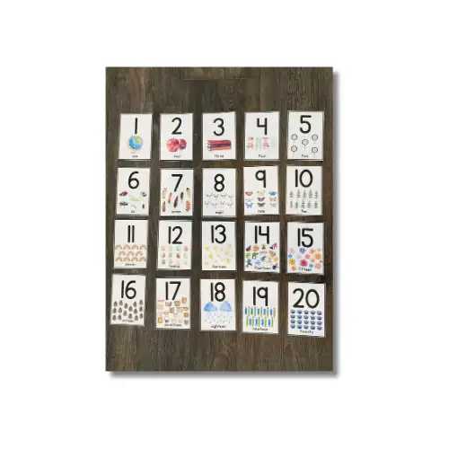 number flash cards pvc 1 20 set