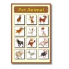 pet animals a4 ntr chart kids