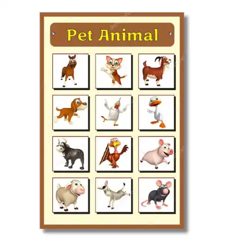 pet animals a4 ntr chart kids