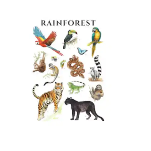 rainforest animals a4 ntr chart