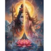 shiva shakti power union a4 ntr