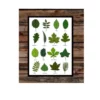 trees and leaves a4 ntr chart kids