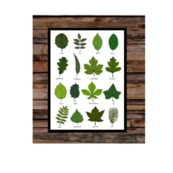 trees and leaves a4 ntr chart kids