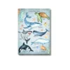 under the sea chart a4 ntr kids