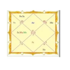 vedic astrology chart a4 ntr matte
