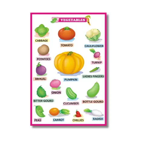 vegetables chart a4 ntr kids