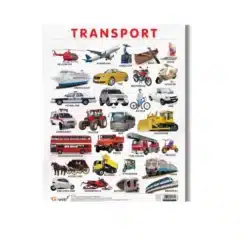 vehicles and transport a4 chart