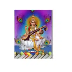 vidya daan saraswati a4 ntr