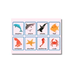 a4 flashcard template sheet printed — single sheet flashcard practice (2)