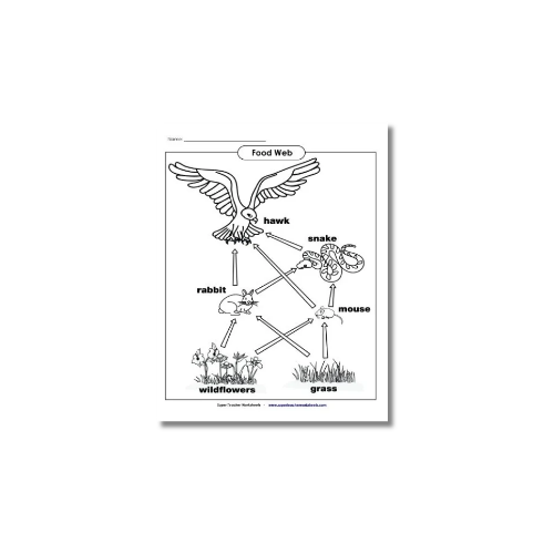 a4 food chain worksheet printed — single sheet food practice