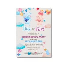 a4 gender reveal party invite printed — single sheet gender print (1)